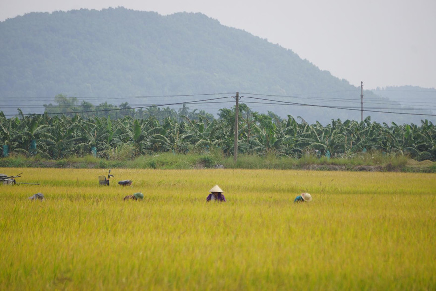 Một chủ tịch xã ở Hải Phòng tử vong tại nhà riêng