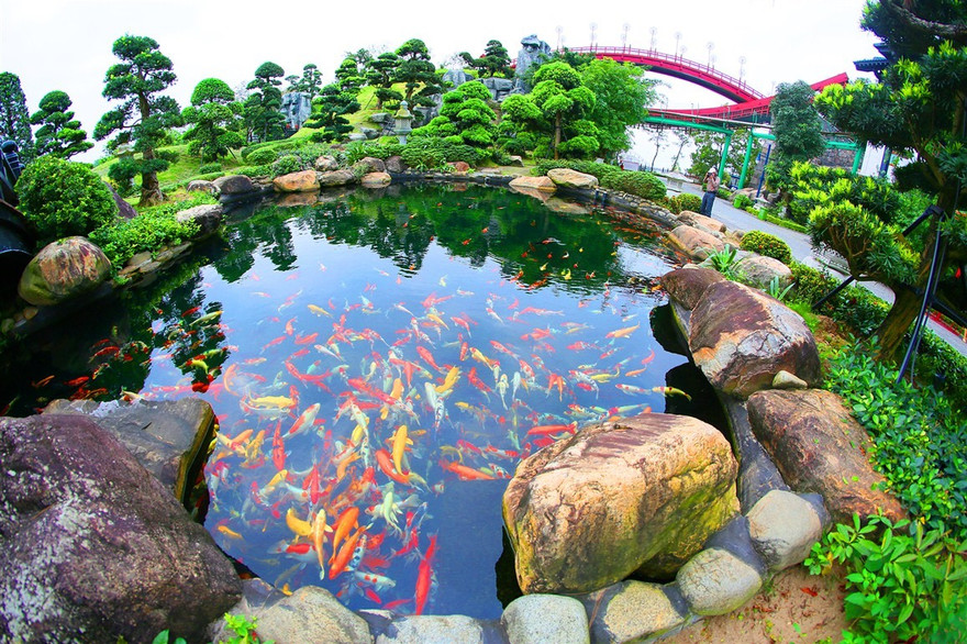 Doanh nghiệp du lịch biến 'nguy' thành 'cơ' vì COVID-19 như thế nào?