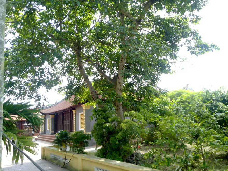 Hiện trường vụ việc.