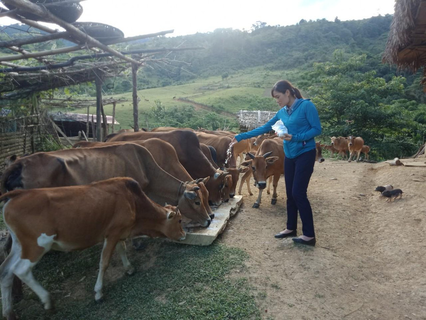 Thanh Hóa: Hiệu quả từ những chính sách hỗ trợ cho vùng đồng bào dân tộc thiểu số