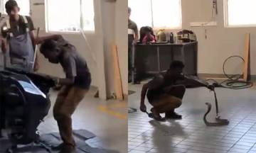 Hổ mang dài 1,8 mét trốn trong khoang động cơ ôtô