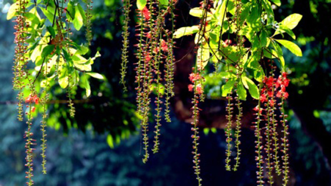 Ba chốn đẹp nức lòng của mùa thu Hà Nội