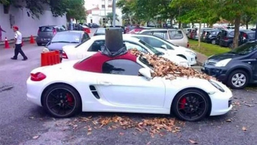 Chiếc Porsche bị đổ đầy lá khô và chụp thùng rác lên nóc. Ảnh: Paultan.