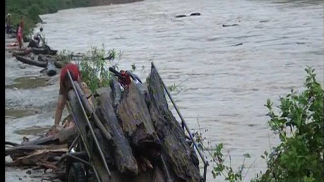 người dân đua nhau vớt củi trên dòng sông bằng các vật dụng thô sơ