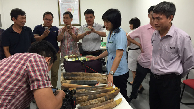 100kg ngà voi, sừng tê 'đi' máy bay về Việt Nam