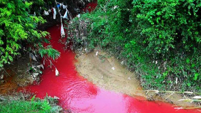 Hãi hùng dòng suối 'máu' bất thường ở Điện Biên