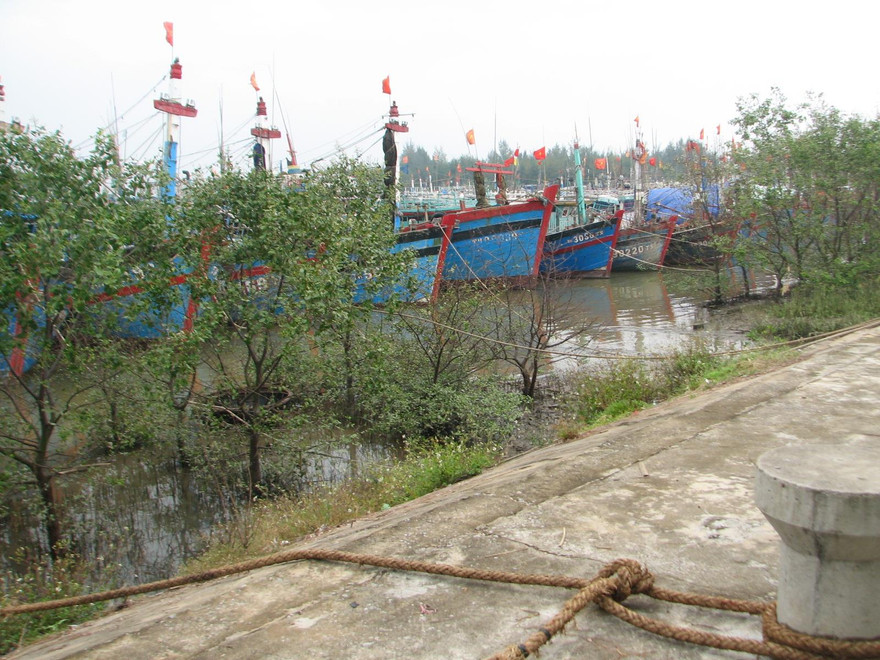 Thanh Hóa cấm biển, 3 tàu cá mất liên lạc