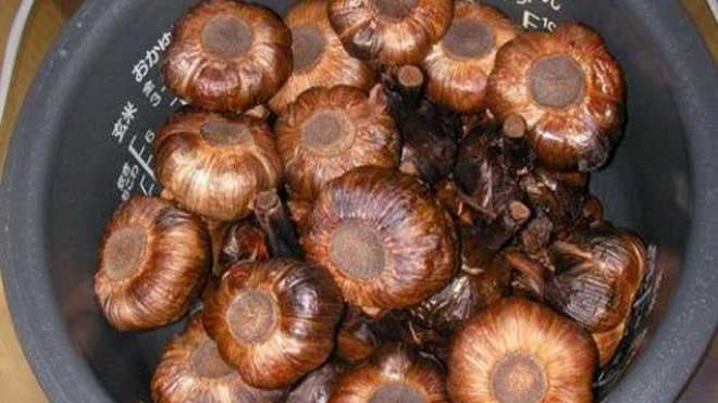 Tỏi tép lên men bằng nồi cơm điện trong 15 ngày. Ảnh: Leo's Black Garlic. 