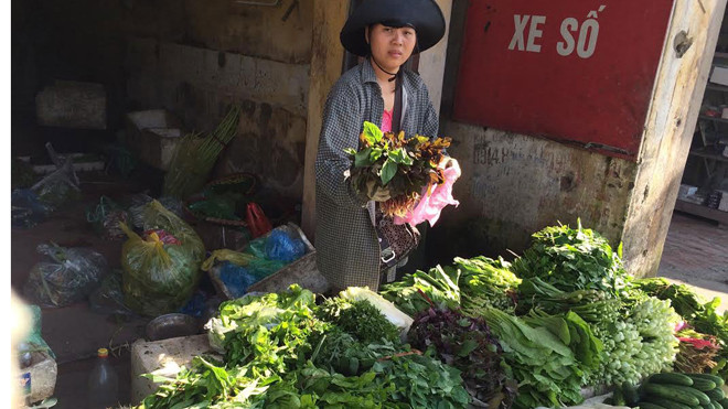 Tiểu thương ồ ạt buôn rau từ Hà Nội xuống Quảng Ninh bán