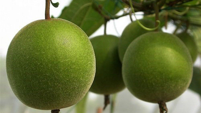 Không phải ai cũng có thể uống nước quả la hán.