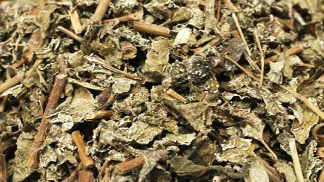 Chè dây không rõ nguồn gốc thường được bán ở khu du lịch vùng núi phía Bắc