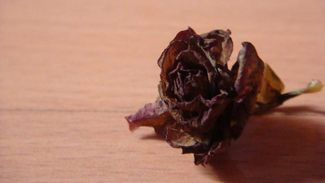 Làm sao quên được nhân tình?