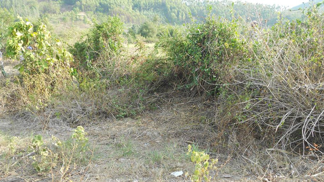 Hiện trường phát hiện thi thể nam giới chết cách đây khoảng 10 ngày