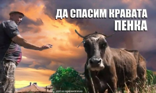 Lý do được đưa là là do con vật có thể mắc bệnh truyền nhiễm, có thể gây ảnh hưởng tới những con khác tại địa phương. Ảnh: Facebook