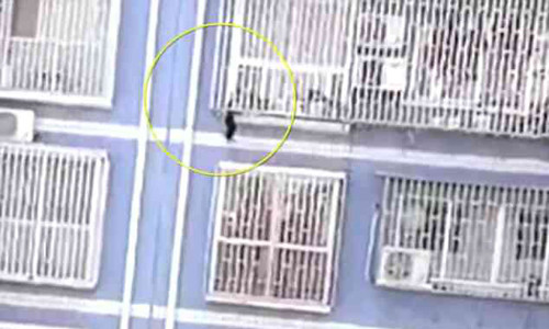 'Người nhện' tay không leo 5 tầng nhà cứu em bé 