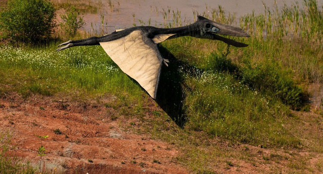 Phát lộ dấu vết bầy đàn khủng long sống cách đây 120 triệu năm