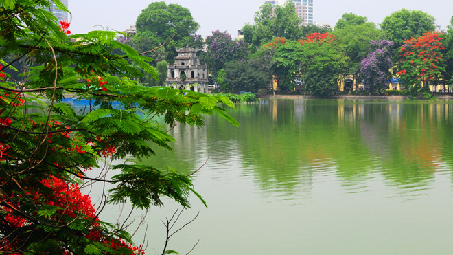 Màu xanh lục đặc trưng của Hồ Gươm được tạo bởi loài tảo lục đặc hữu chỉ có ở nơi đây. 