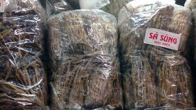 Sá sùng được bán với số lượng lớn tại chợ Đồng Xuân.