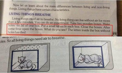 Nội dung trong cuốn sách bao gồm cả hình ảnh. 