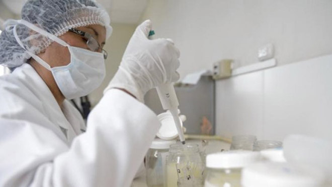 Sữa mẹ hiến tặng sẽ được kiểm tra, sàng lọc trước khi gửi đến cho các gia đình. Ảnh: AFP/Getty Images .