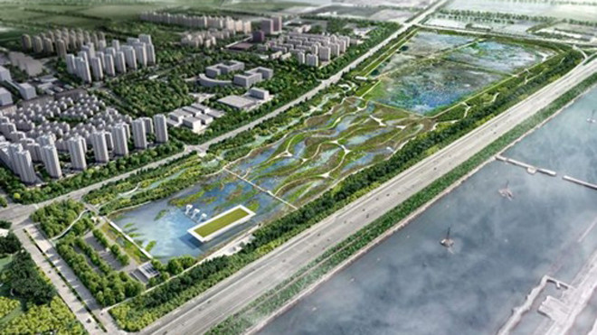 Khu bảo tồn Chim Thiên Tân, Trung Quốc. Ảnh: McGregor Coxall.