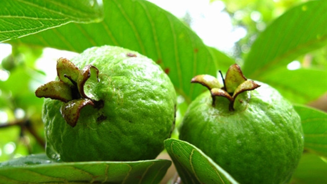 Không cần đến nha sĩ vẫn có thể tự làm trắng răng