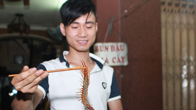 Món ăn được chế biến từ các loại côn trùng, loài bò sát có hình thù không đẹp nhưng lại được nhiều người thích thú. Ảnh: Ngọc Lan. 