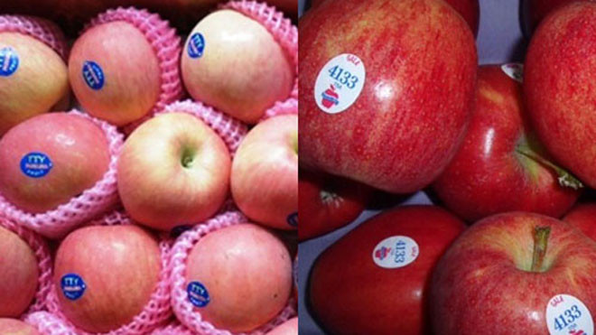 Tem trên táo Trung Quốc (Trái), Tem trên táo Mỹ (Phải). Ảnh: VnExpress