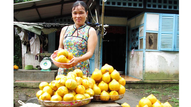 Lêkima được bán trên thị trường với giá từ 10.000 đến 20.000 đồng/kg. Ảnh: Ngọc Trinh. 