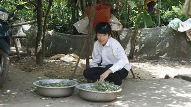 Băm bèo - một trong những công việc thường ngày của chàng thủ khoa