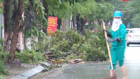 Hải Phòng chịu thiệt hại khá nặng do cơn bão số 3.