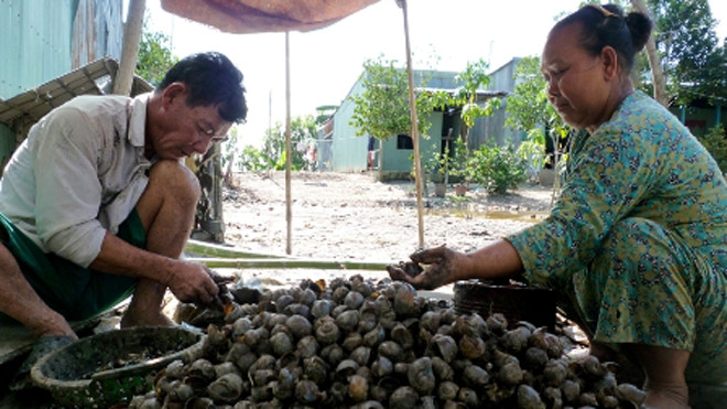 Lể Obv lấy thịt bán cho thương lái.