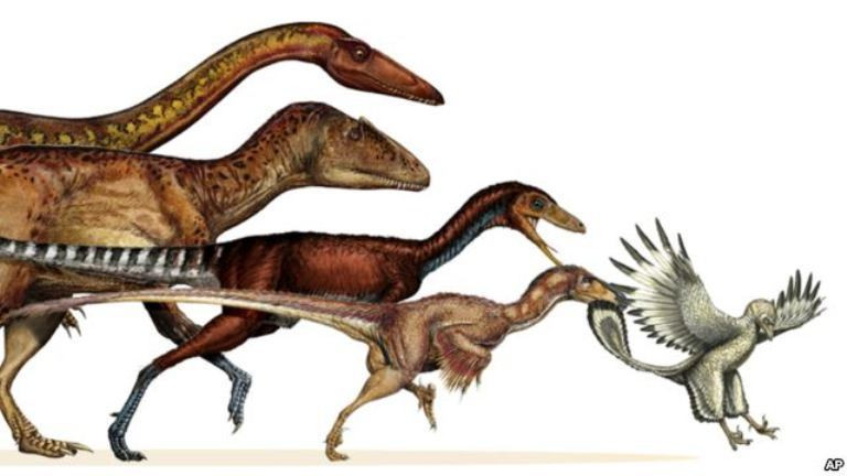 Khủng long tuyệt chủng là do số phận sắp đặt