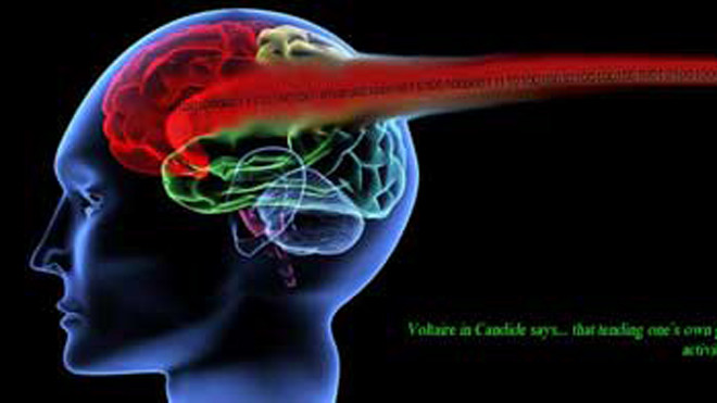 Mô hình kiểm soát não công nghệ cao.