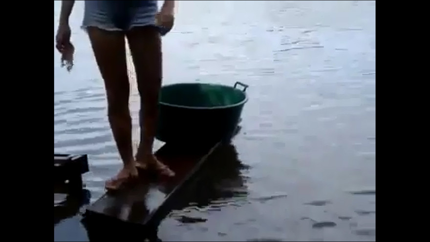 Thiếu nữ tay không câu cả đàn cá hổ trong chớp mắt