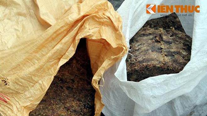 Cảnh hãi hùng trong cơ sở mỡ bẩn giữa Hà Nội