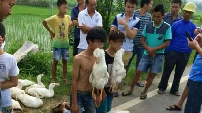 'Đạo chích' bị quỳ giữa đường, mồm ngậm con vịt ăn trộm