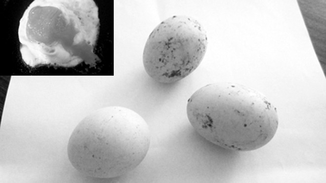 Trứng gà chị Thủy mua nghi bị ủ hóa chất tạo màu. Ảnh: K.A