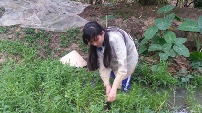 Ngoài việc phụ mẹ lột hạt điều, Ngọc Mai còn đi cắt rau ngổ bán lấy tiền mua gạo.