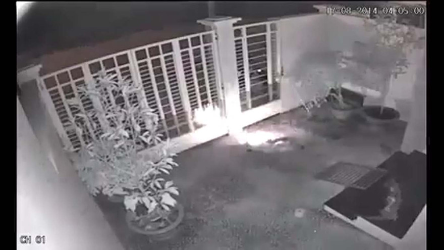 2 gã đi xe máy dùng súng điện trộm chó trong đêm