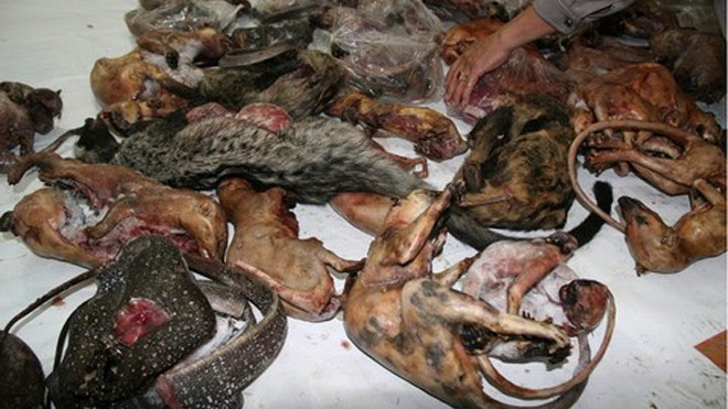 Cầy hương được thịt sẵn chờ dân nhậu. 