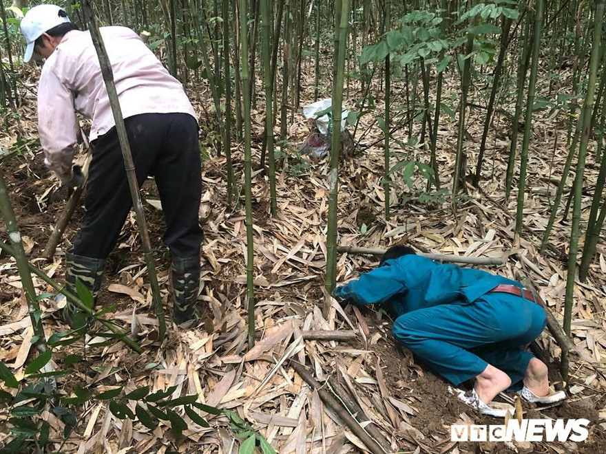  Truy tìm nơi dúi ở.