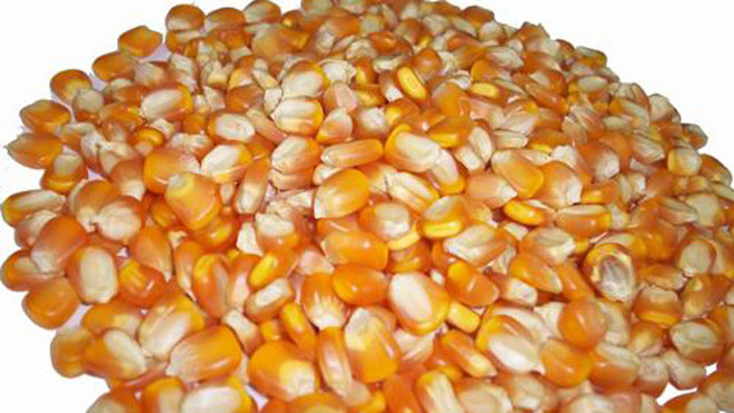 Các loại hạt giúp tăng bản lĩnh đàn ông