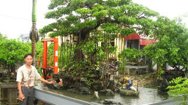 Nghệ nhân Bùi Thanh Khiết bên cây sanh cảnh trị giá trên 500 triệu đồng của gia đình.