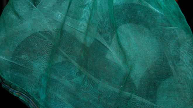 Nhiều rắn hổ mang chúa, hổ trâu (mỗi con có trọng lượng từ 1 đến hơn 2 kg) trên chuyến xe khách từ TP HCM về Quảng Ngãi. Ảnh:Trí Tín.