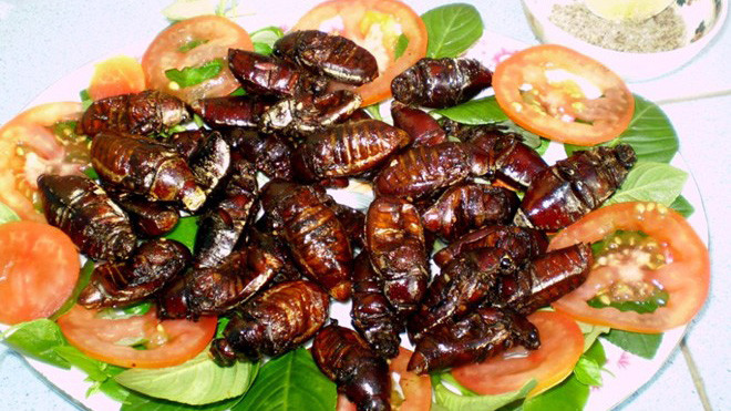 Bọ rầy chiên là món ăn khoái khẩu của nhiều thực khách khi đến An Giang. Ảnh: VnExpress