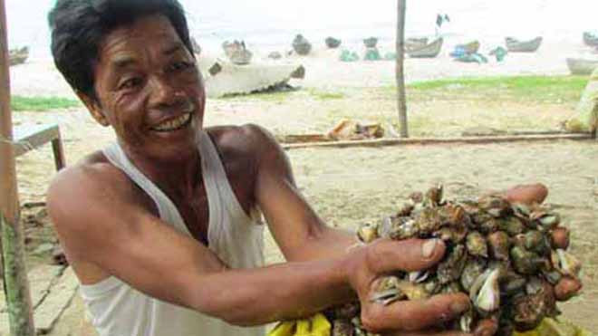 Ốc nhảy đang mang lại thu nhập tốt cho ngư dân xã Đức Minh (Quảng Ngãi). Ảnh: Ái Kiều