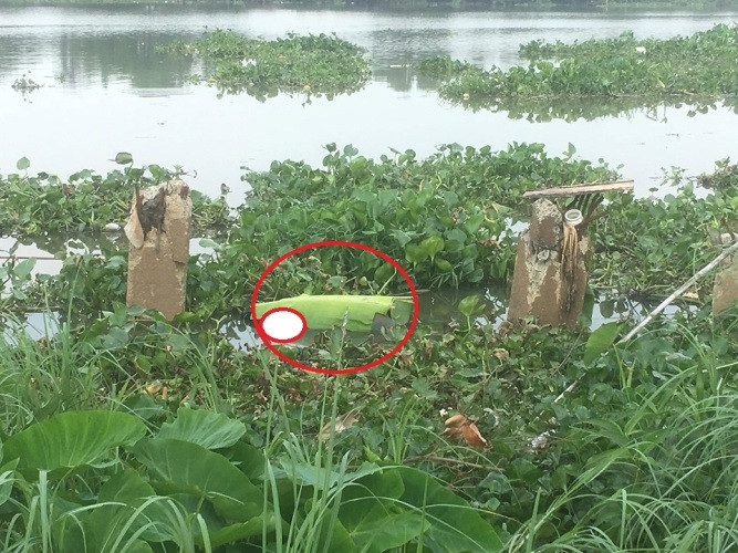 Khu vực phát hiện thi thể nạn nhân