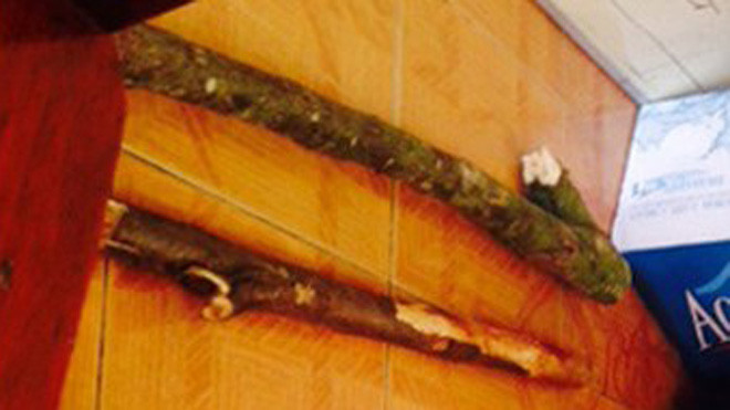 Nghịch tử dùng gậy đánh mẹ cướp khuyên tai