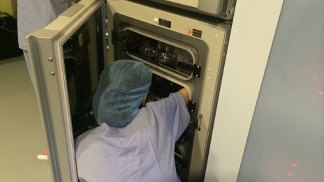 Trữ phôi nhằm mục đích hỗ trợ sinh sản tại Bệnh viện Từ Dũ, TP HCM. Ảnh: Lê Phương. 